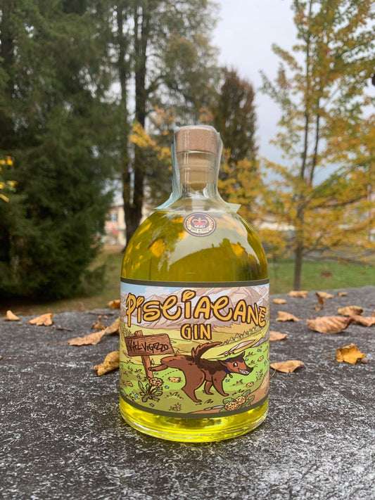 PICSCIACANE  Dry Gin